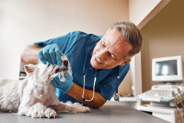 Best Walk-In Emergency Dental Services in Burns, TN